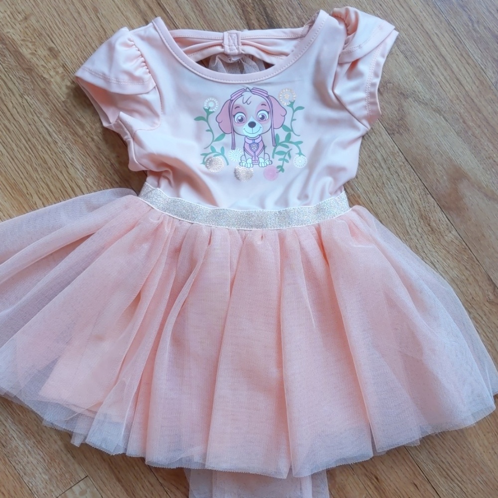 Paw patrol Skye Costume 2t